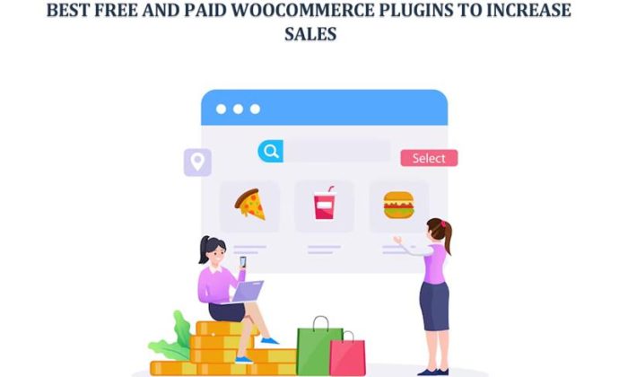 Best Free and Paid WooCommerce Plugins to Increase Sales